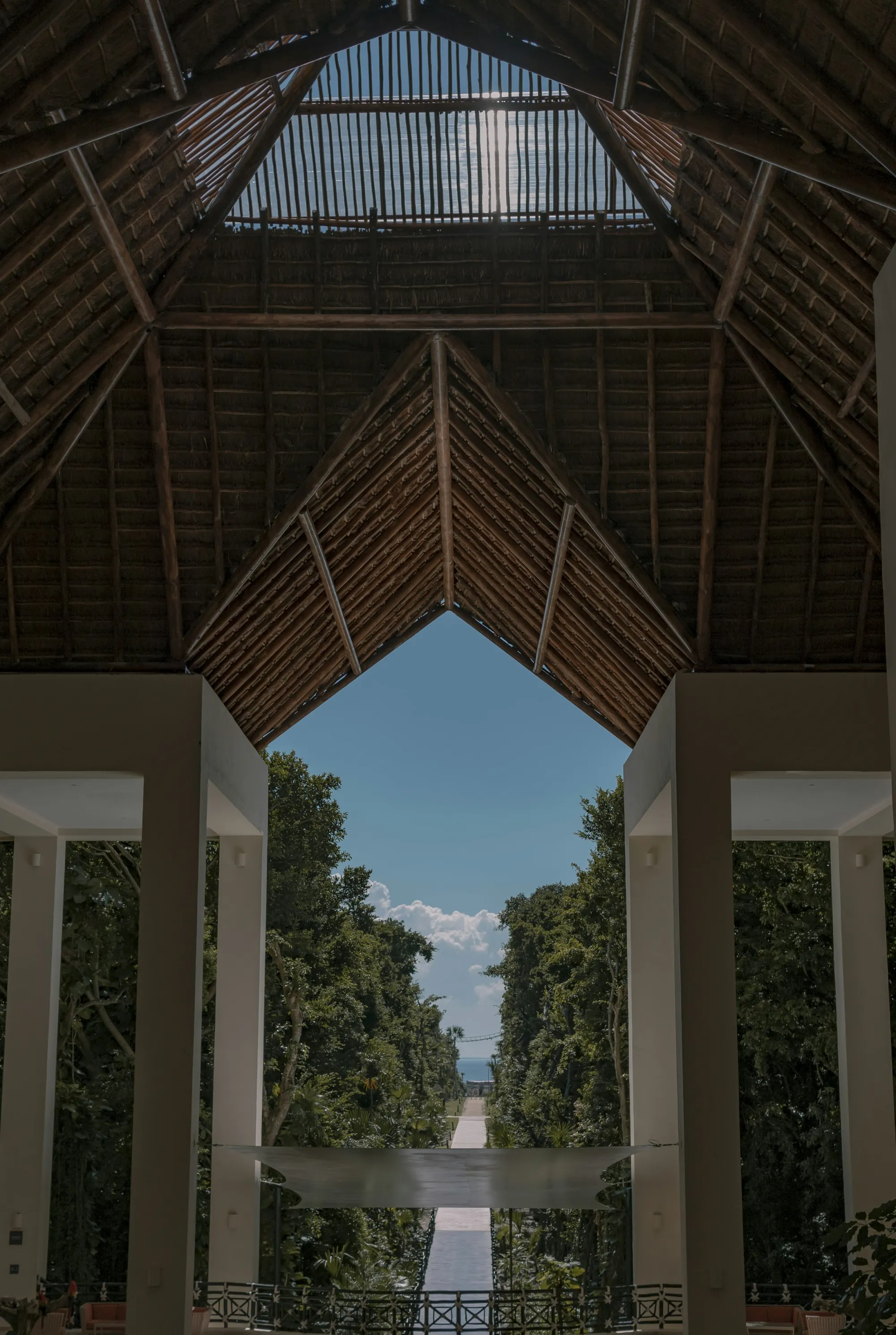 A soaring palapa arrival axis looking through jungle toward the Caribbean